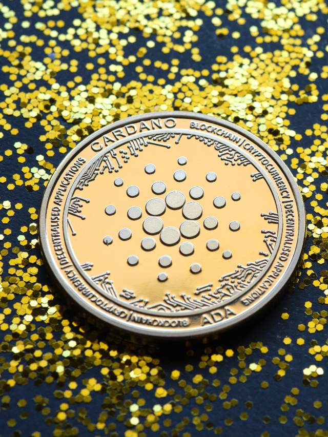 future-of-cardano-nft-drops