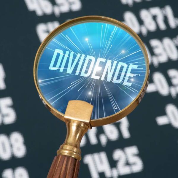 low stock dividend