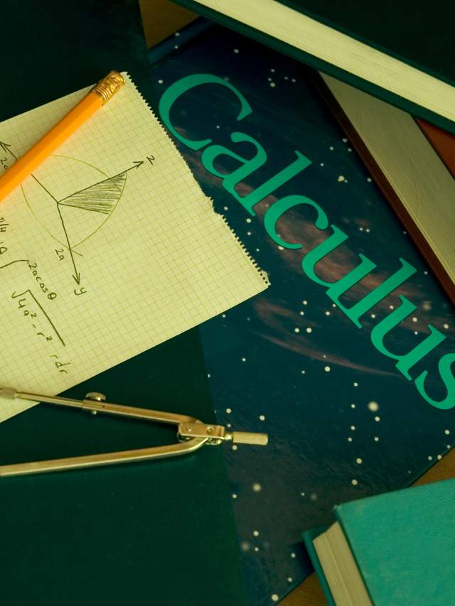 Business Calculus: Ignite Your Strategic Brilliance